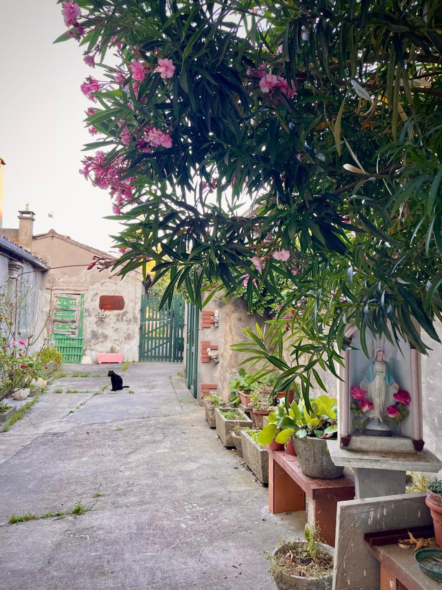 L'Encanto De Luna -Una Casa Autentica Comacchiese Comacchio Kültér fotó